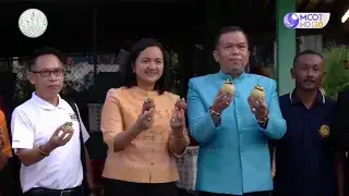 ส่งเสริมมังคุดคุณภาพลดปัญหา สินค้าเกษตรตกต่ำ ช่วง ฤดูกาลผลไม่ล้นตลาด