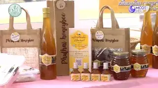 น้ำผึ้งป่าจากแปลงเกษตรต้นแบบ สะอาดปลอดภัย จากฝีมือเกษตรกร จ.สุราษฎร์ธานี